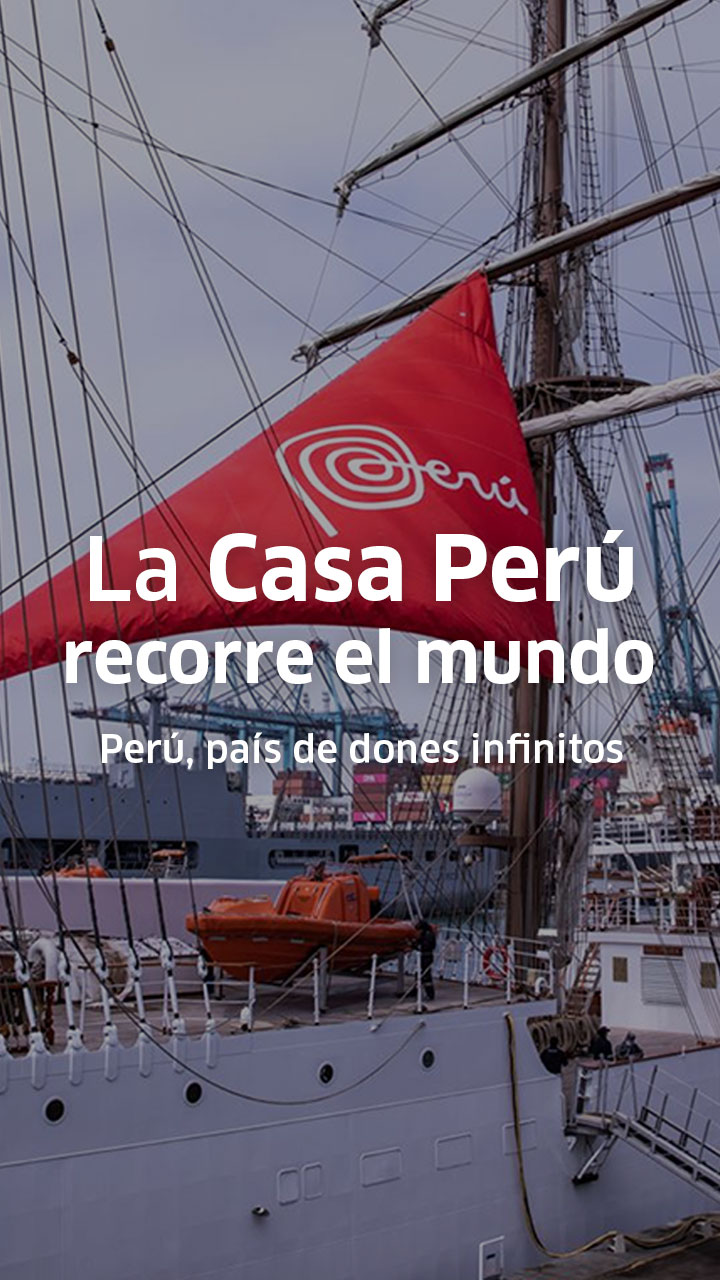 Descripción de la imagen
